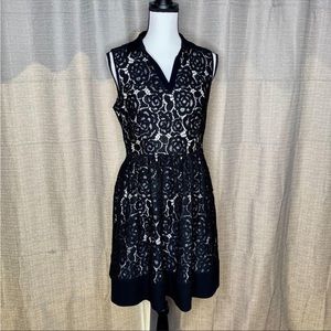 Cynthia Steffe Black Lace Sleeveless Dress 8